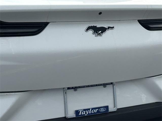 new 2025 Ford Mustang Mach-E car