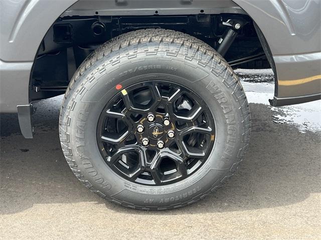 new 2025 Ford F-150 car