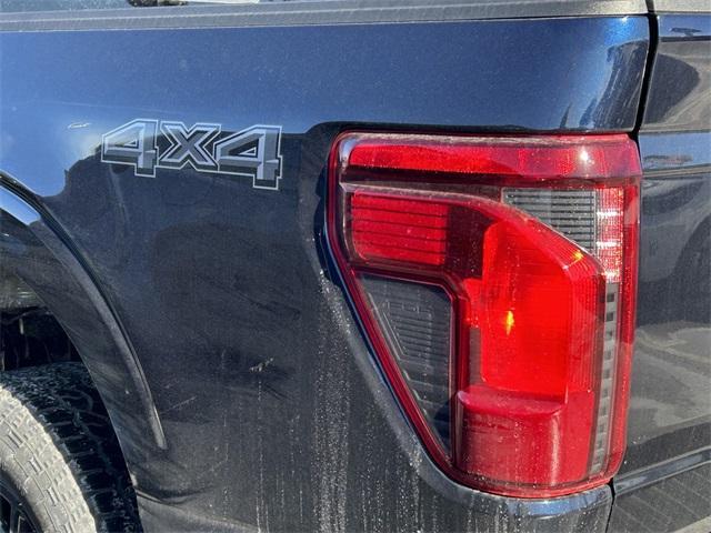 new 2025 Ford F-150 car