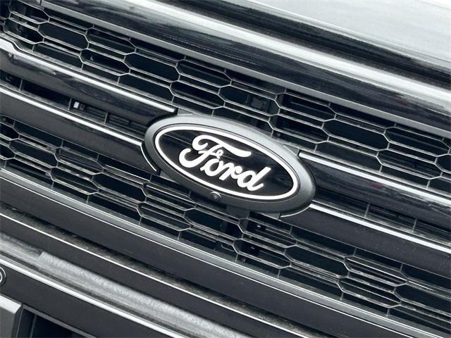 new 2025 Ford F-150 car