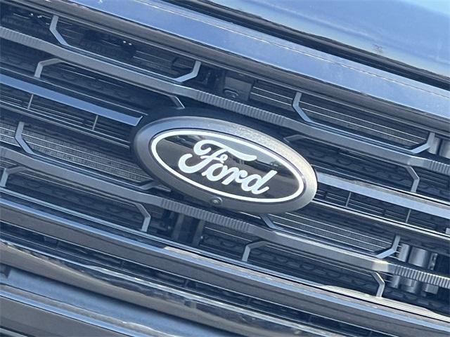 new 2025 Ford F-150 car