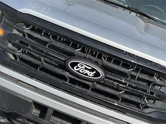 new 2025 Ford F-150 car