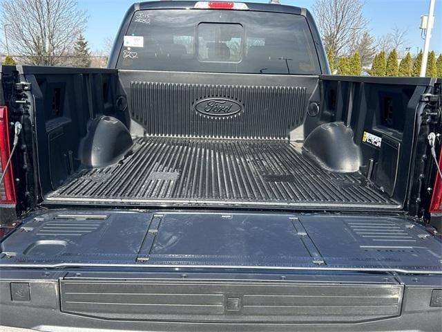 new 2025 Ford F-150 car
