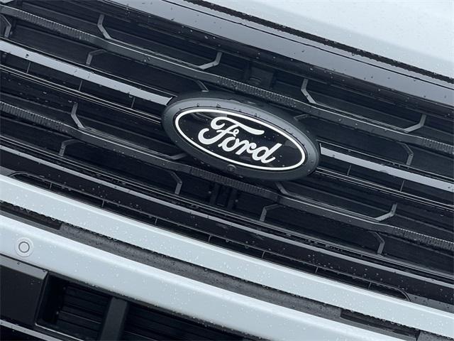 new 2025 Ford F-150 car