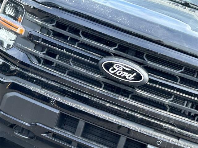 new 2025 Ford F-150 car
