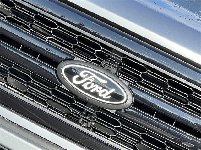 new 2025 Ford F-150 car