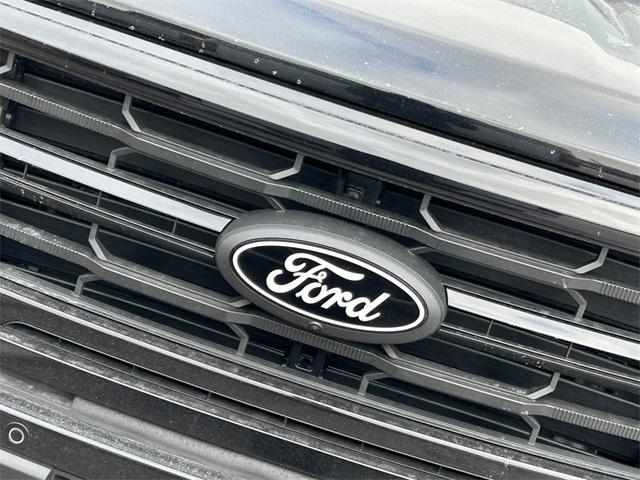 new 2025 Ford F-150 car