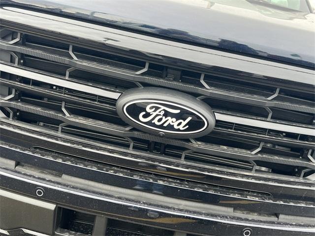 new 2025 Ford F-150 car
