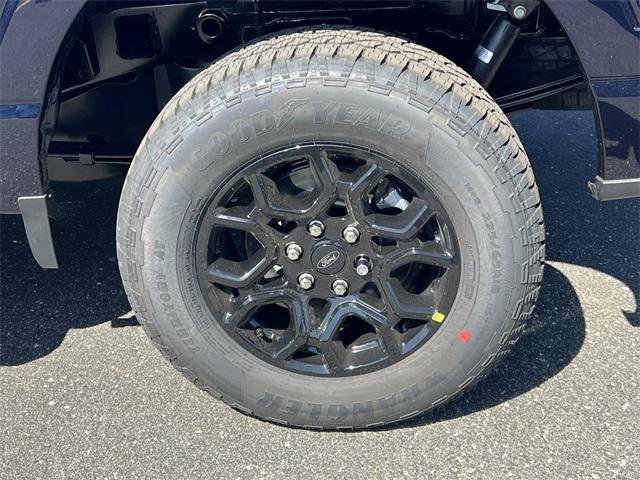 new 2025 Ford F-150 car