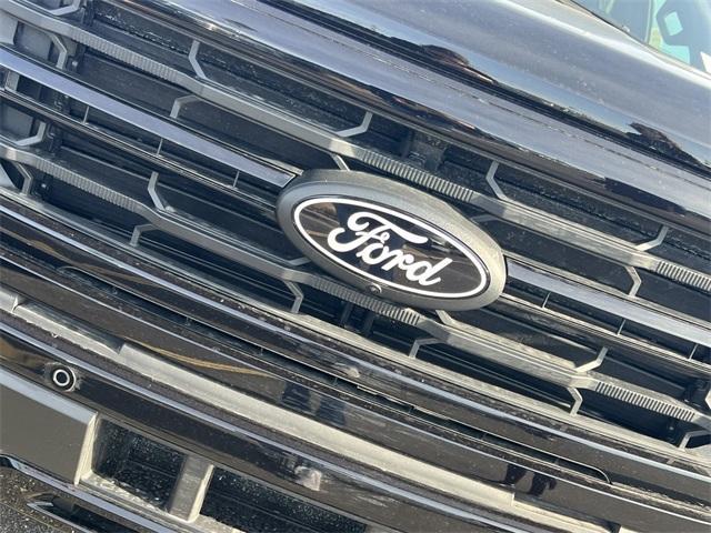 new 2025 Ford F-150 car