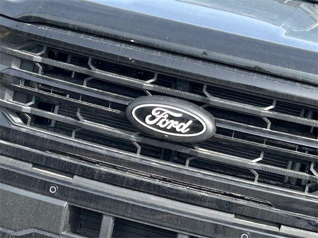 new 2025 Ford F-150 car