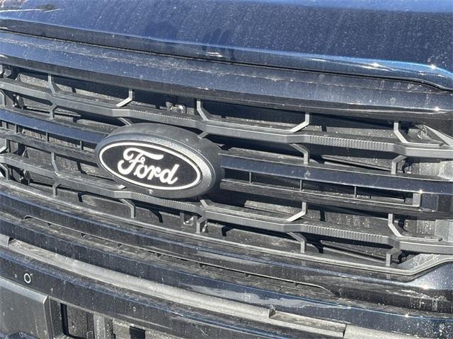 new 2025 Ford F-150 car