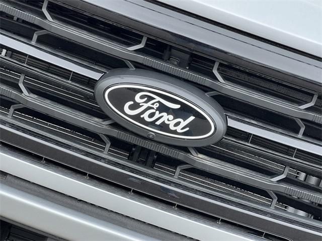 new 2025 Ford F-150 car