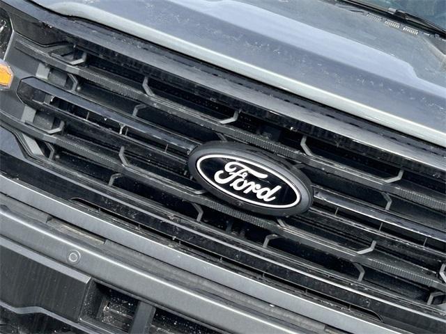 new 2025 Ford F-150 car