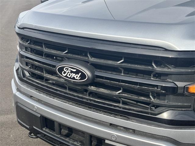 new 2025 Ford F-150 car