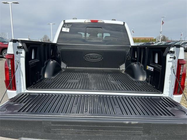 new 2025 Ford F-150 car