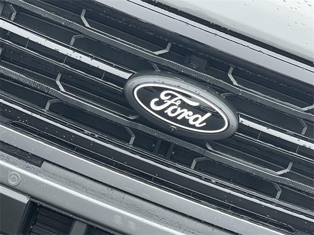 new 2025 Ford F-150 car