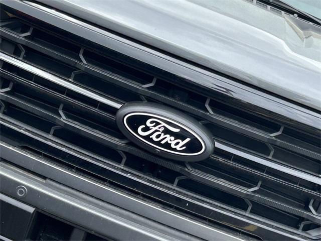 new 2025 Ford F-150 car