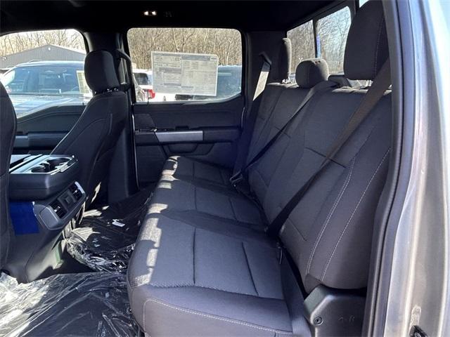 new 2025 Ford F-150 car