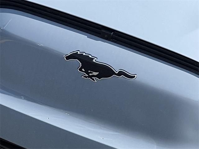 new 2025 Ford Mustang Mach-E car