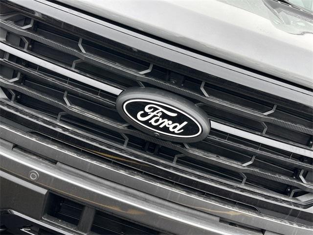 new 2025 Ford F-150 car