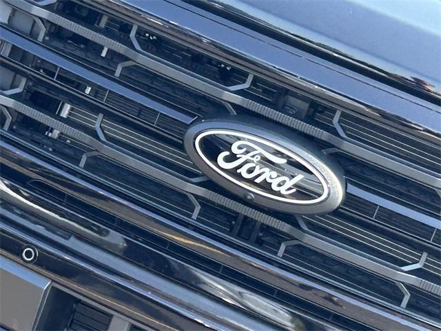 new 2025 Ford F-150 car