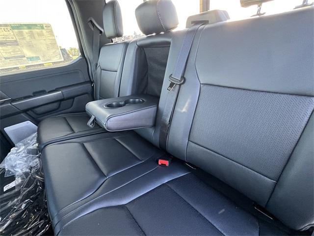 new 2025 Ford F-150 car