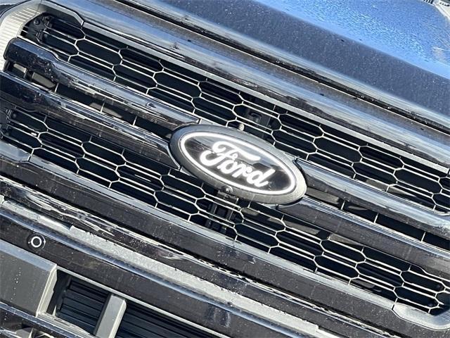 new 2025 Ford F-150 car