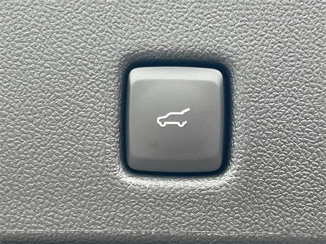 new 2025 Ford Escape car