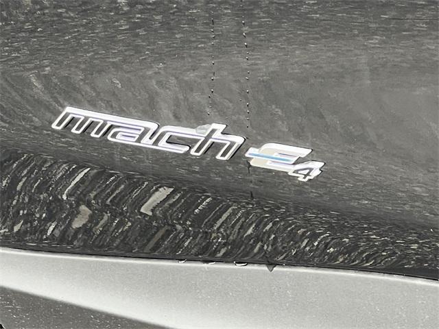 new 2025 Ford Mustang Mach-E car