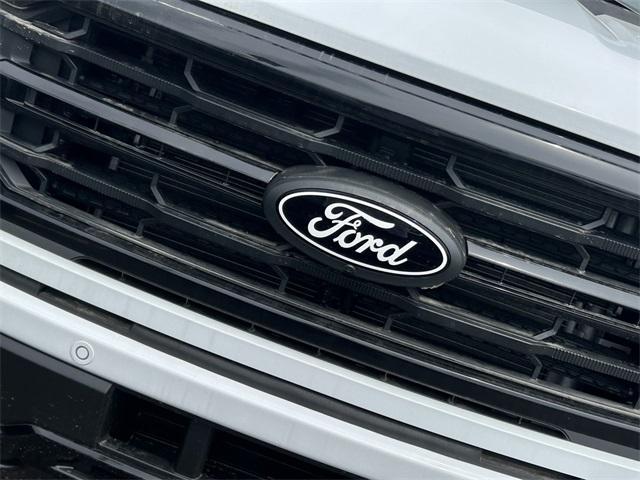 new 2025 Ford F-150 car
