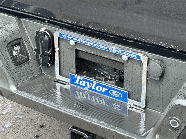 new 2025 Ford F-150 car