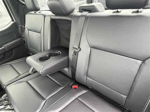 new 2025 Ford F-150 car