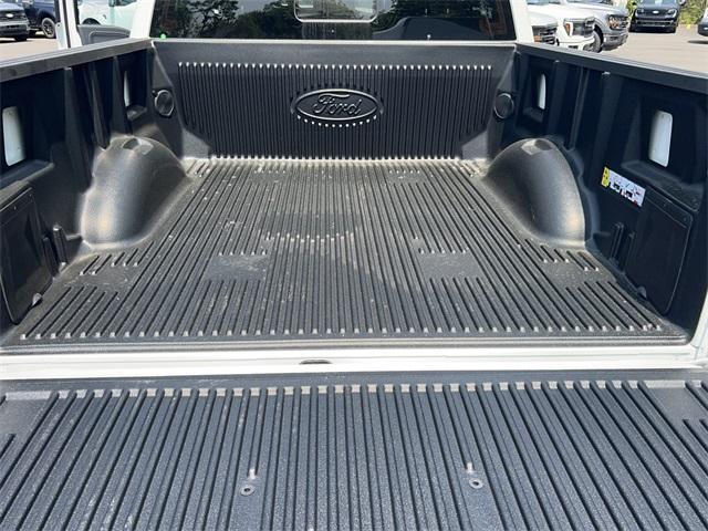 new 2025 Ford F-150 car