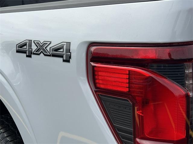 new 2025 Ford F-150 car