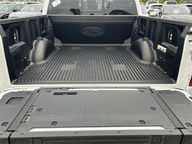 new 2025 Ford F-150 car