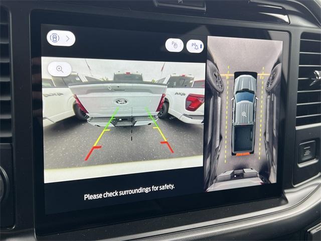 new 2025 Ford F-150 car