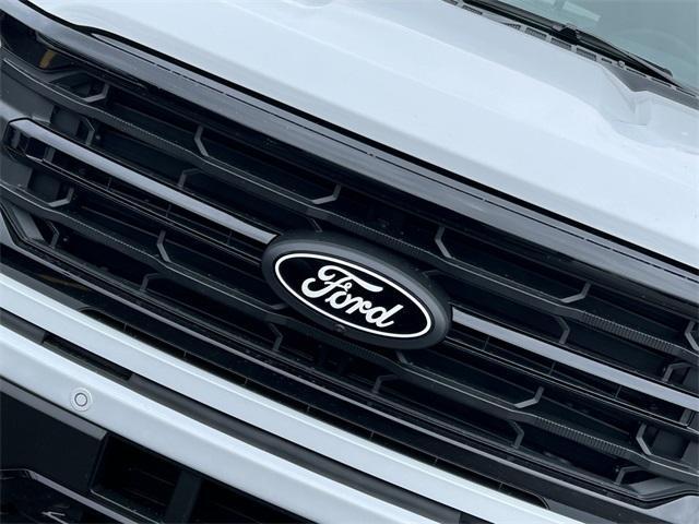 new 2025 Ford F-150 car