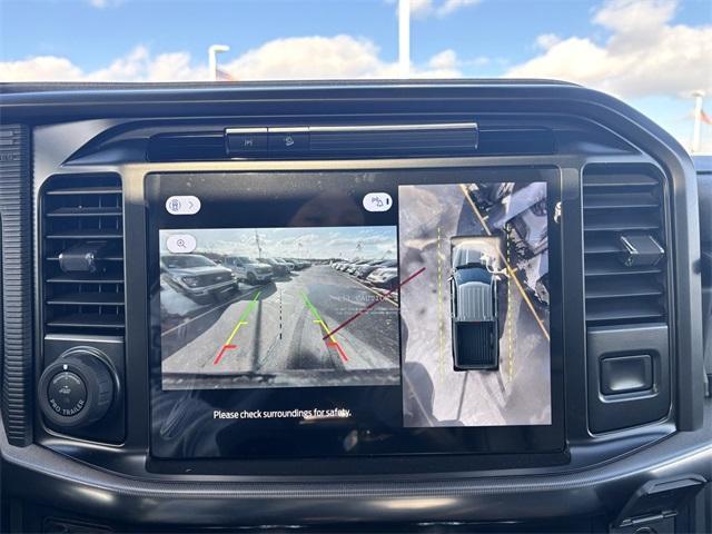 new 2025 Ford F-150 car