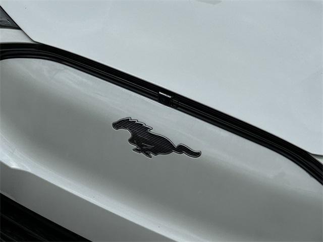 new 2025 Ford Mustang Mach-E car