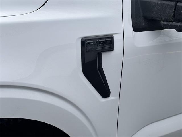 new 2025 Ford F-150 car