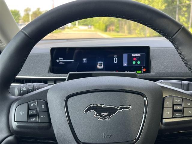 new 2025 Ford Mustang Mach-E car