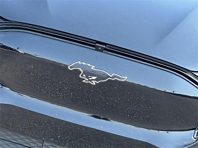 new 2025 Ford Mustang Mach-E car