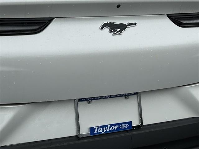 new 2025 Ford Mustang Mach-E car