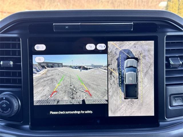 new 2025 Ford F-150 car