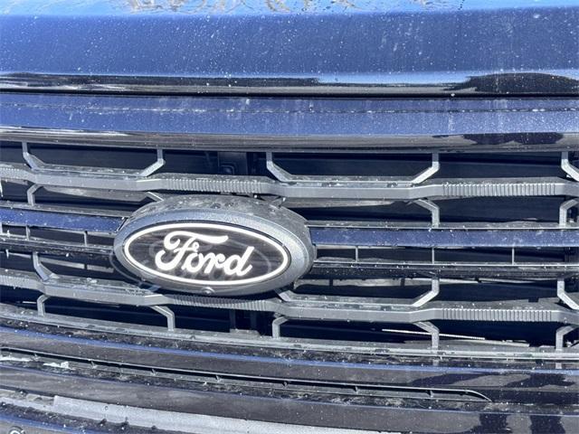 new 2025 Ford F-150 car