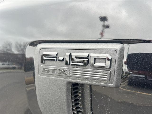 new 2025 Ford F-150 car