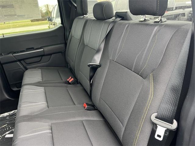 new 2025 Ford F-150 car