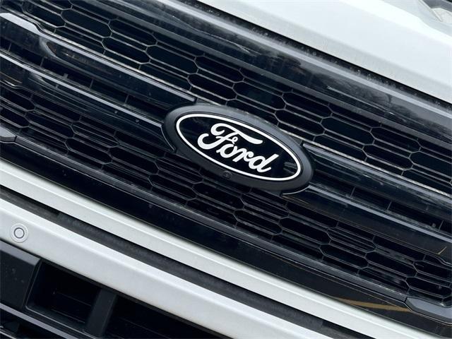 new 2025 Ford F-150 car