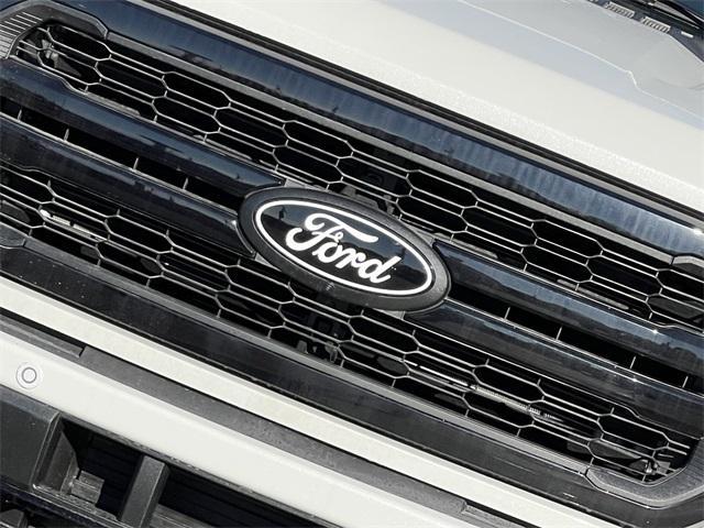 new 2025 Ford F-150 car